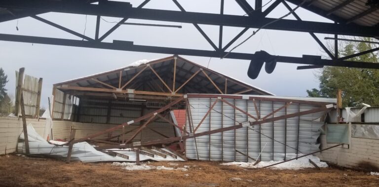 Ice storm destroys Ridgefield Stable’s arena, horse injured