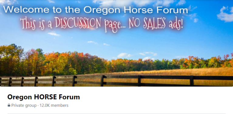 Popular FB Group responds to claims of unfair censorship over equestrian coach found guilty of State ethics laws