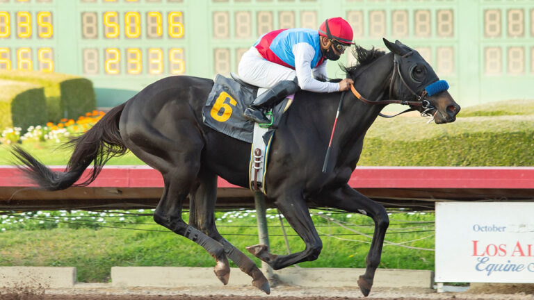 Medina Spirit, the 2021 Kentucky Derby winner, dies after apparent heart attack