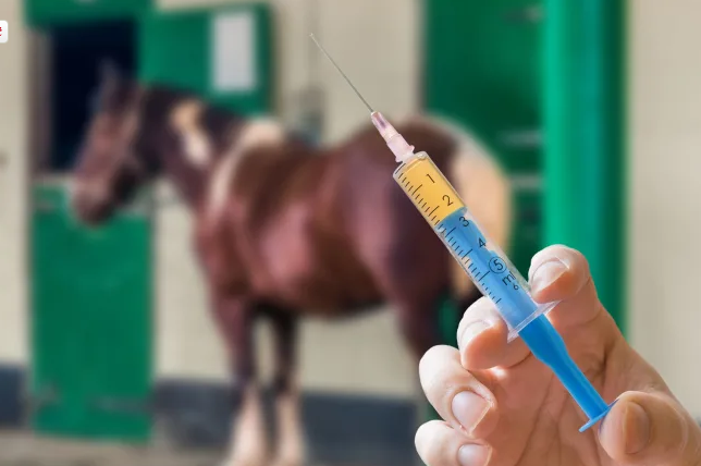 One-forth of horse owners buy painkillers without consulting a veterinarian