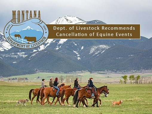 Montana Department of Livestock recommends stop to equine events after EHV outbreak