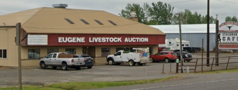 Eugene Horse Auction defrauded buyers with improper “surcharges”, attempted coverup by editing website terms