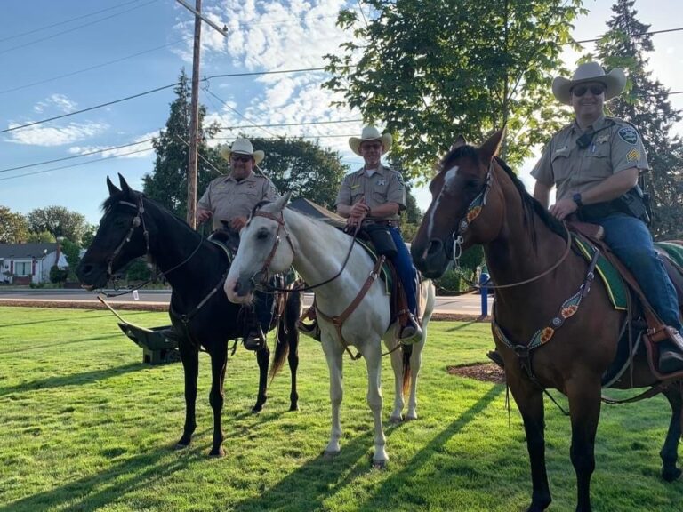 Vandals damage Lane County Sheriff Mounted Posse’s Mt. Pisgah horse arena facility