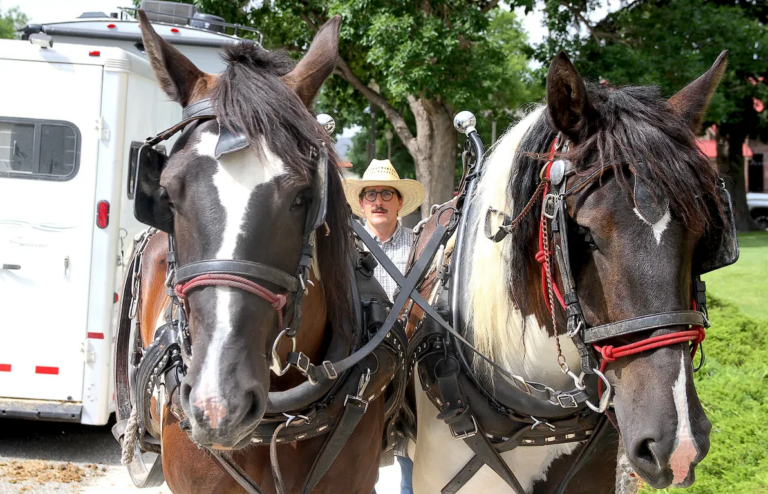 A horse-drawn POTUS hopeful is touring Wyoming– and suing Yellowstone along the way