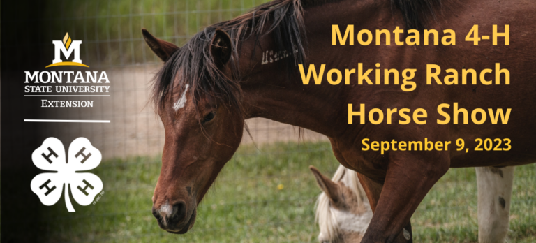 Montana 4-H Working Ranch Horse Show set for Sept. 9