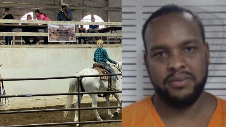 Horse auction announces closure amid scrutiny and discovery of auctioneer’s past arrests for horse theft