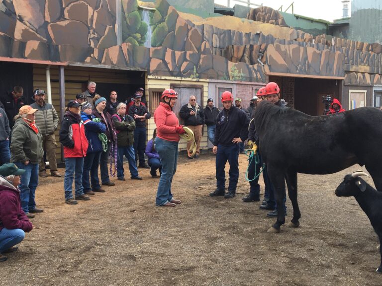 Technical Large Animal Emergency Rescue course being hosted in Eugene by Oregon Horse Council