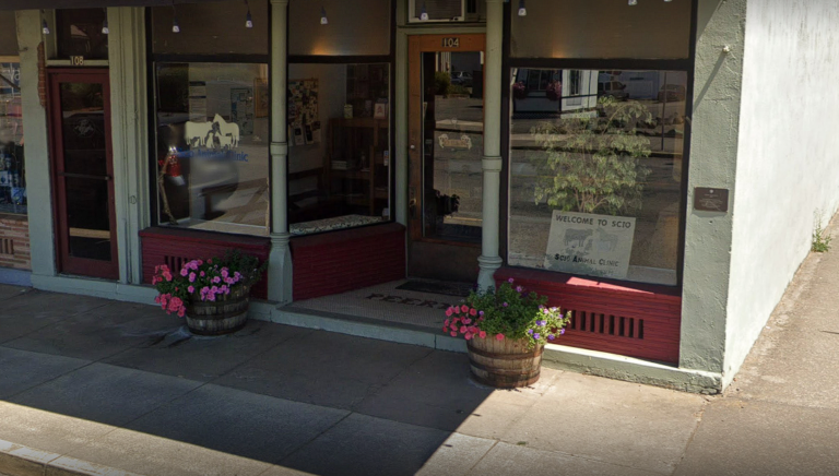 Scio Animal Clinic closed amid legal challenges